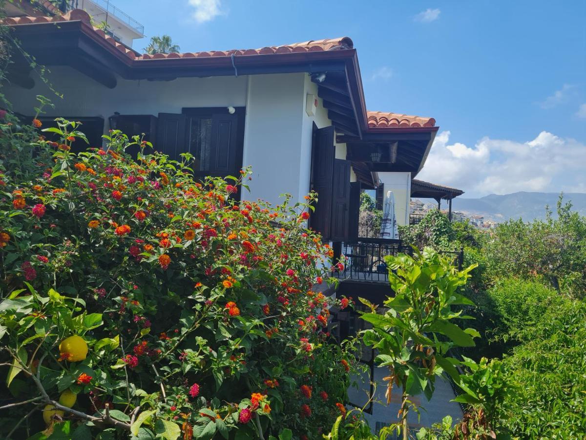 Escape To History In A Stunning Stone House With Garden And Sea View In The Heart Of * Аланія